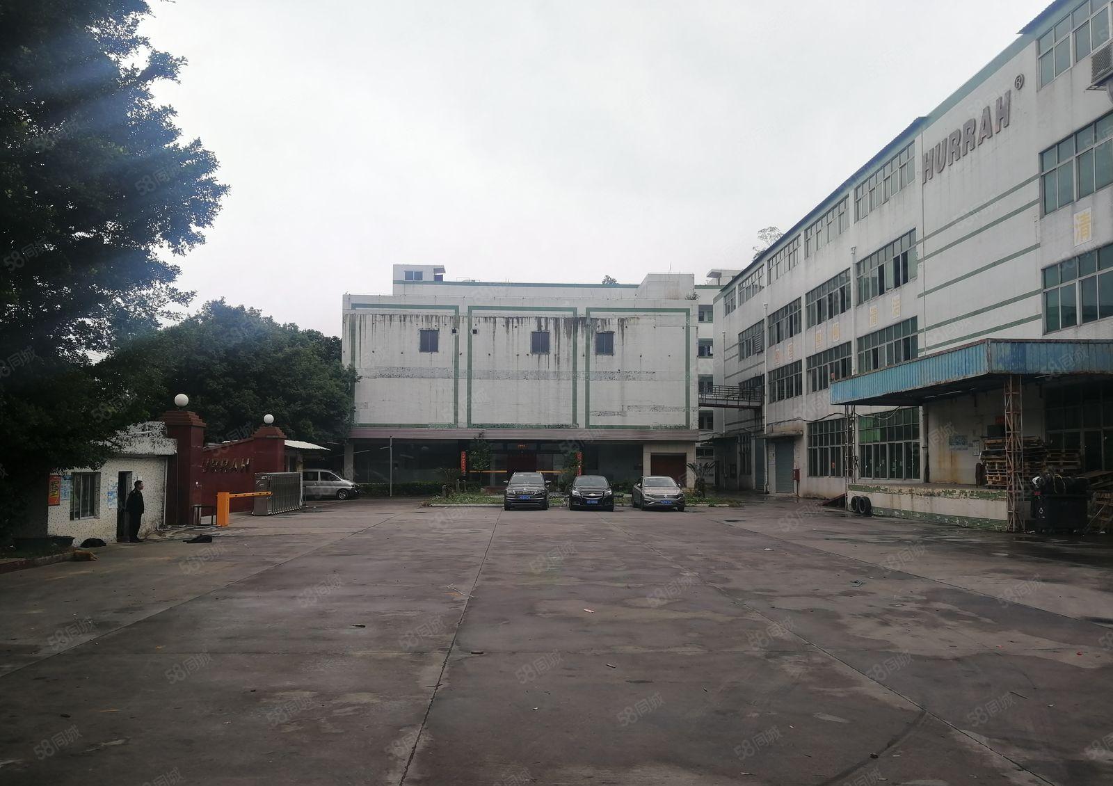 横岗原房东厂房出租1000平米大小可分租