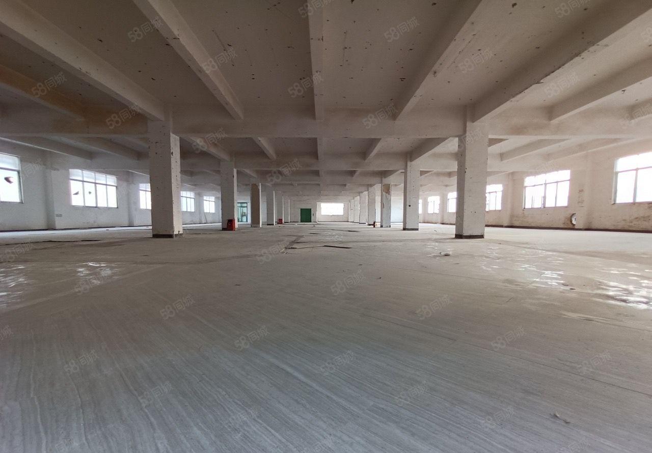 （出租）龙岗区宝龙原房东红本精装修厂房大小分租