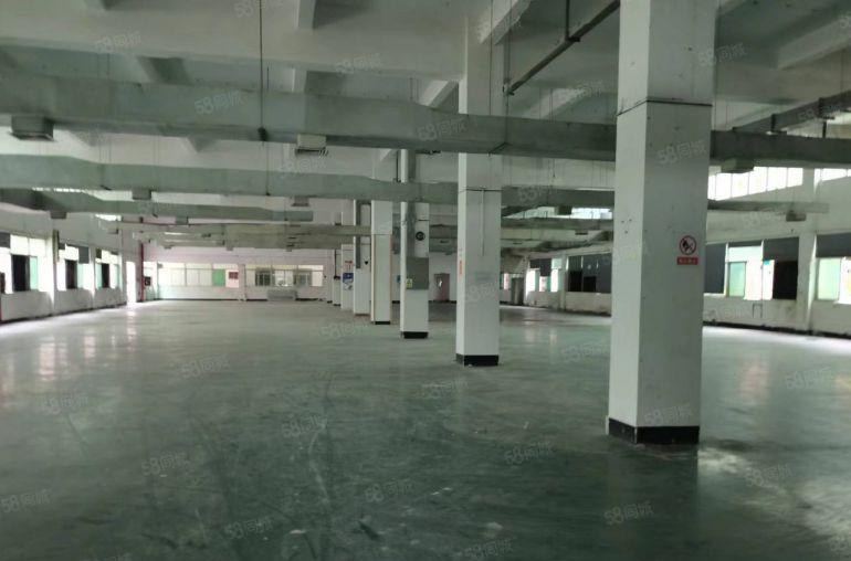 龙岗原房东12元起低价厂房仓库一楼楼上2000平200平分租