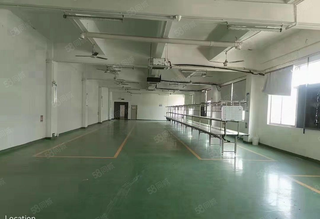 龙岗新出大型工业园区带精装修2000平厂房出租可分租地铁附近