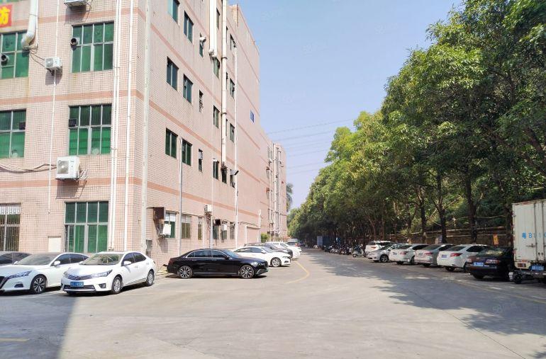 龙岗龙西原房东工业园楼上1000平带装修办公室厂房出租可分租