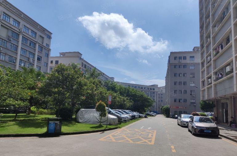 货柜随意掉头！坂田厂房一楼2000平出租300平500平分租