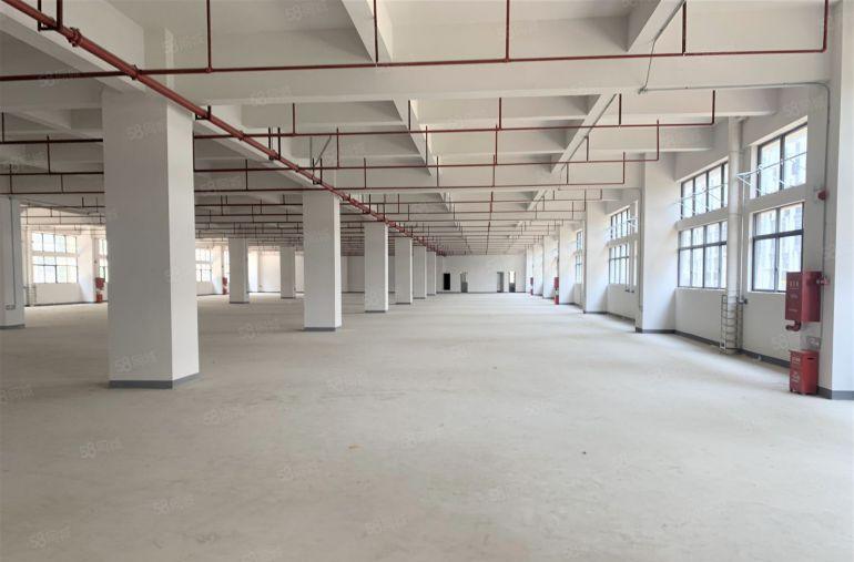 平湖辅城坳工业区原房东2400平可分租厂房仓库办公出租空地大