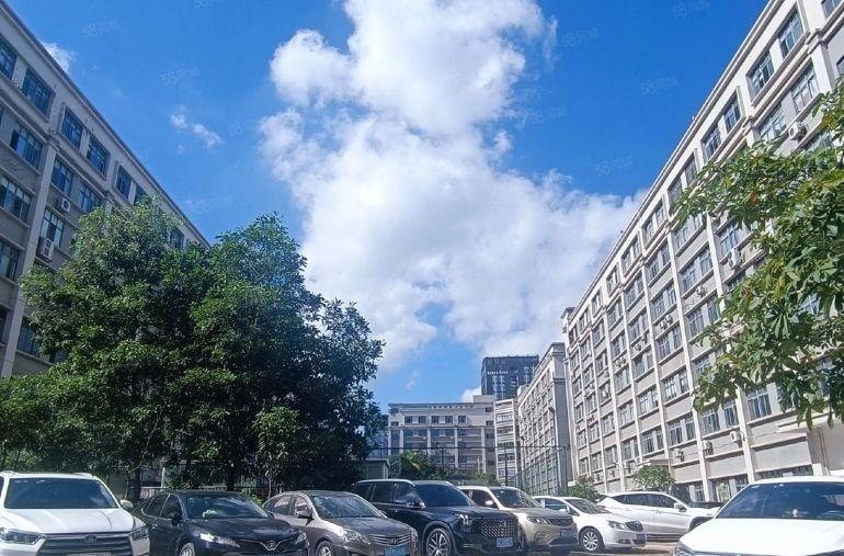 出租龙岗宝龙原房东厂房1000平可办环评带装修可分租