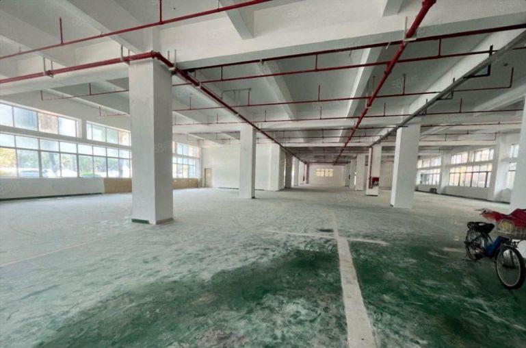 坂田布吉杨美地铁口一楼楼上300平方起租精装办公厂房仓库出租