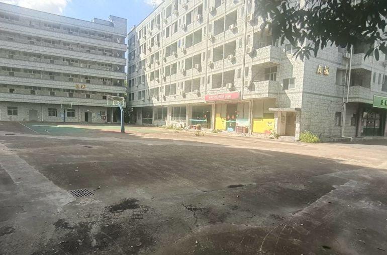 龙岗坪山原房东十万平医疗产业园1000平起租可拿租房补贴