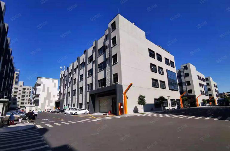 坂田杨美地铁站楼上500平方带装修办公室厂房仓库低价出租