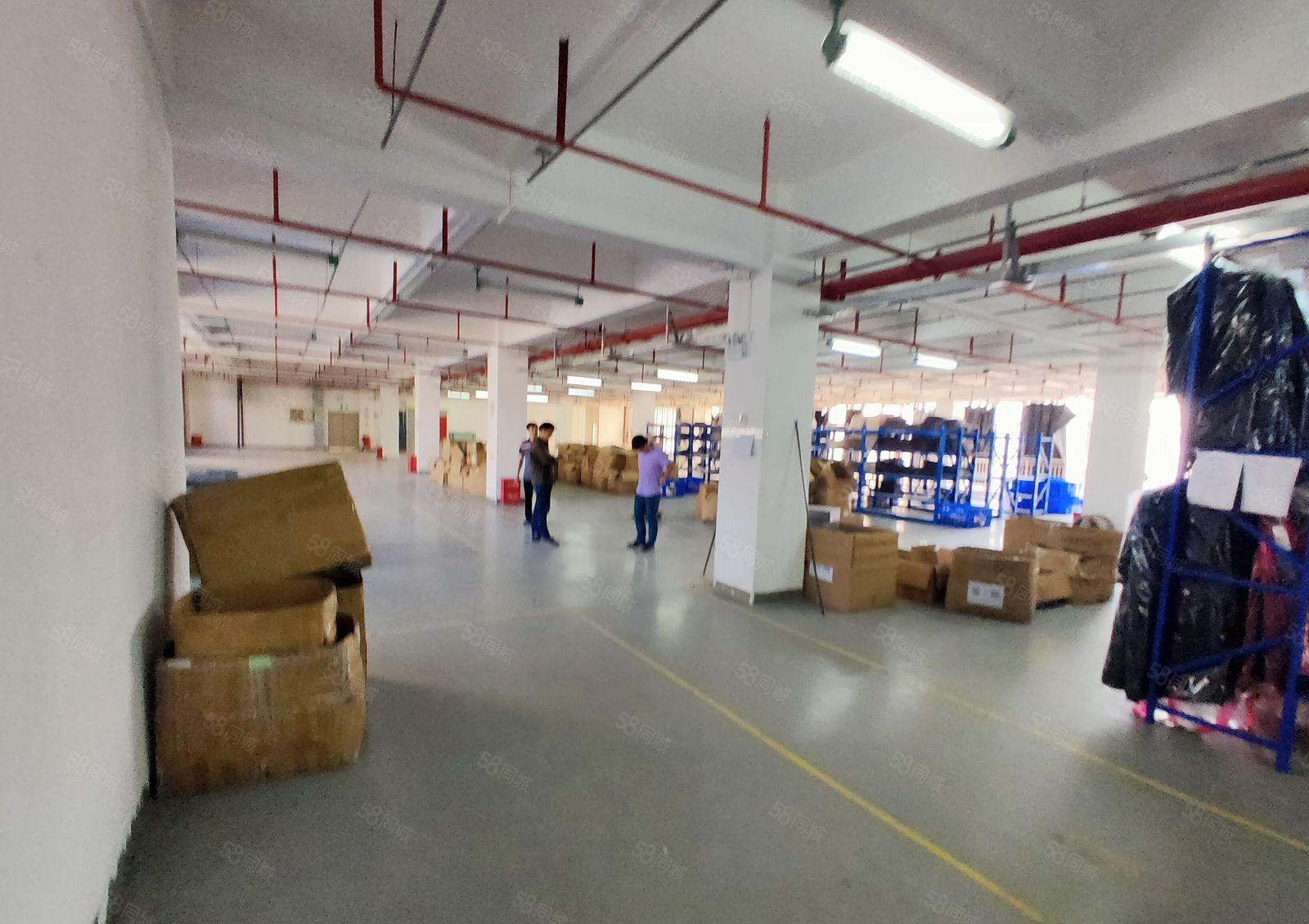 龙岗宝龙新出经典小独院2层2000平厂房出租报价20元可分租