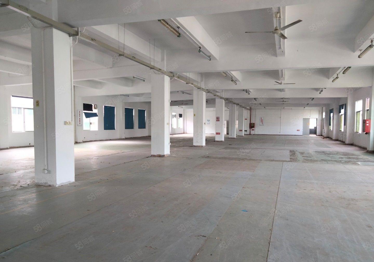 （出租）龙岗中心城原房东独门独院精装修红本厂房大小分租