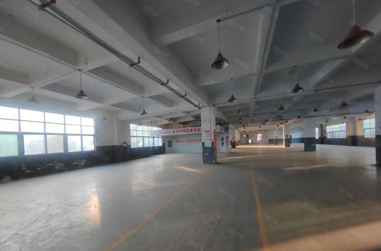 龙岗平湖单层2000平方标准厂房1000平方可分租带宿舍楼
