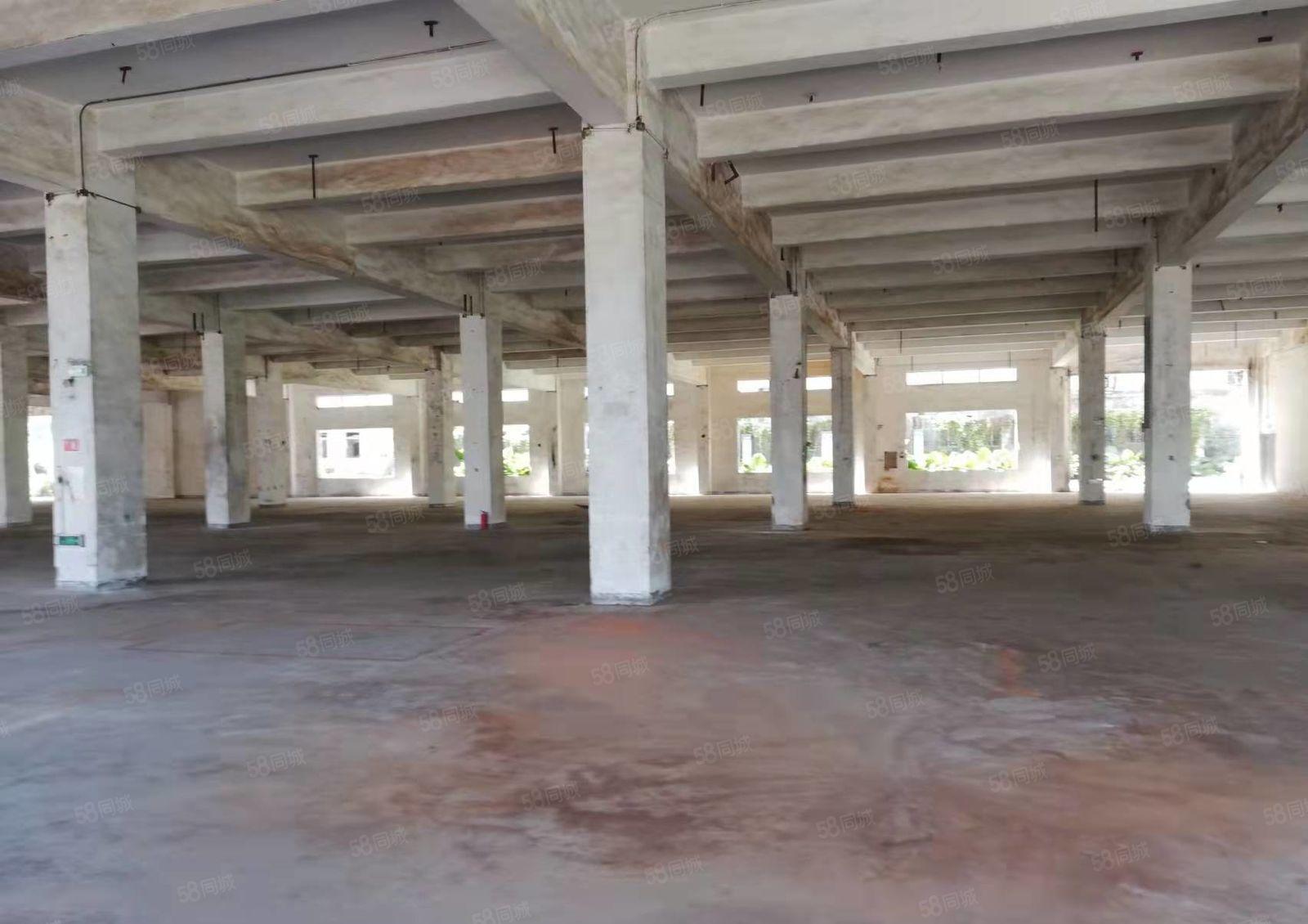 平湖清平高速出口一楼厂房750平方招租