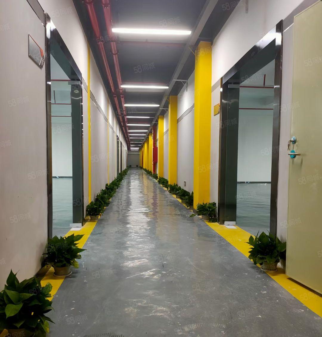 横岗塘坑地铁口楼上100平电商场地出租