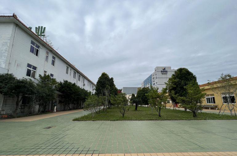 横岗地铁口花园式红本厂房2600平出租大小可分租形象好空地大