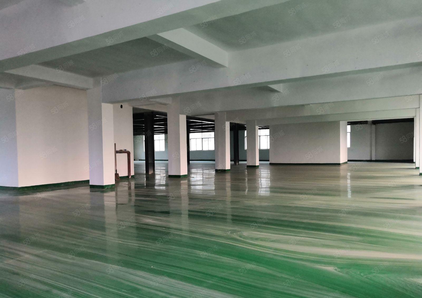 龙岗镇同乐二楼650平方三楼1200平方分租价格15元