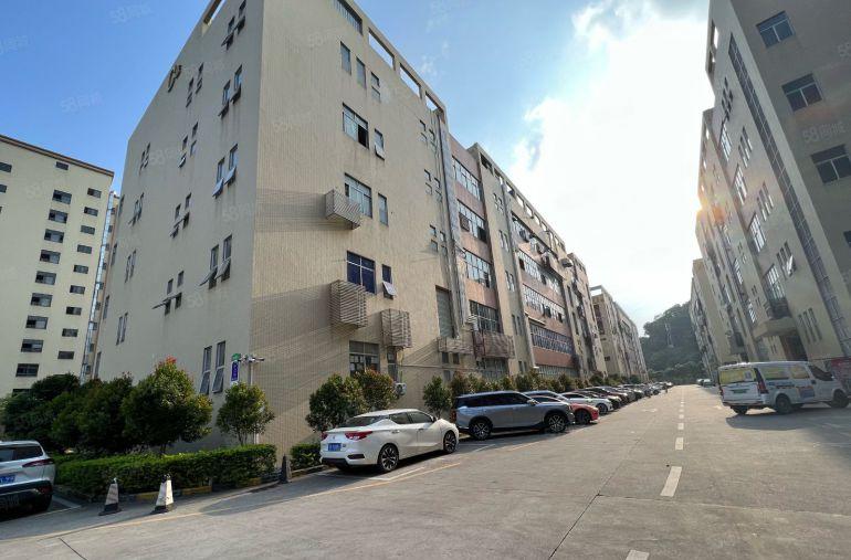 横岗荷坳整层2000平带消防喷淋，500平起分，不限行业