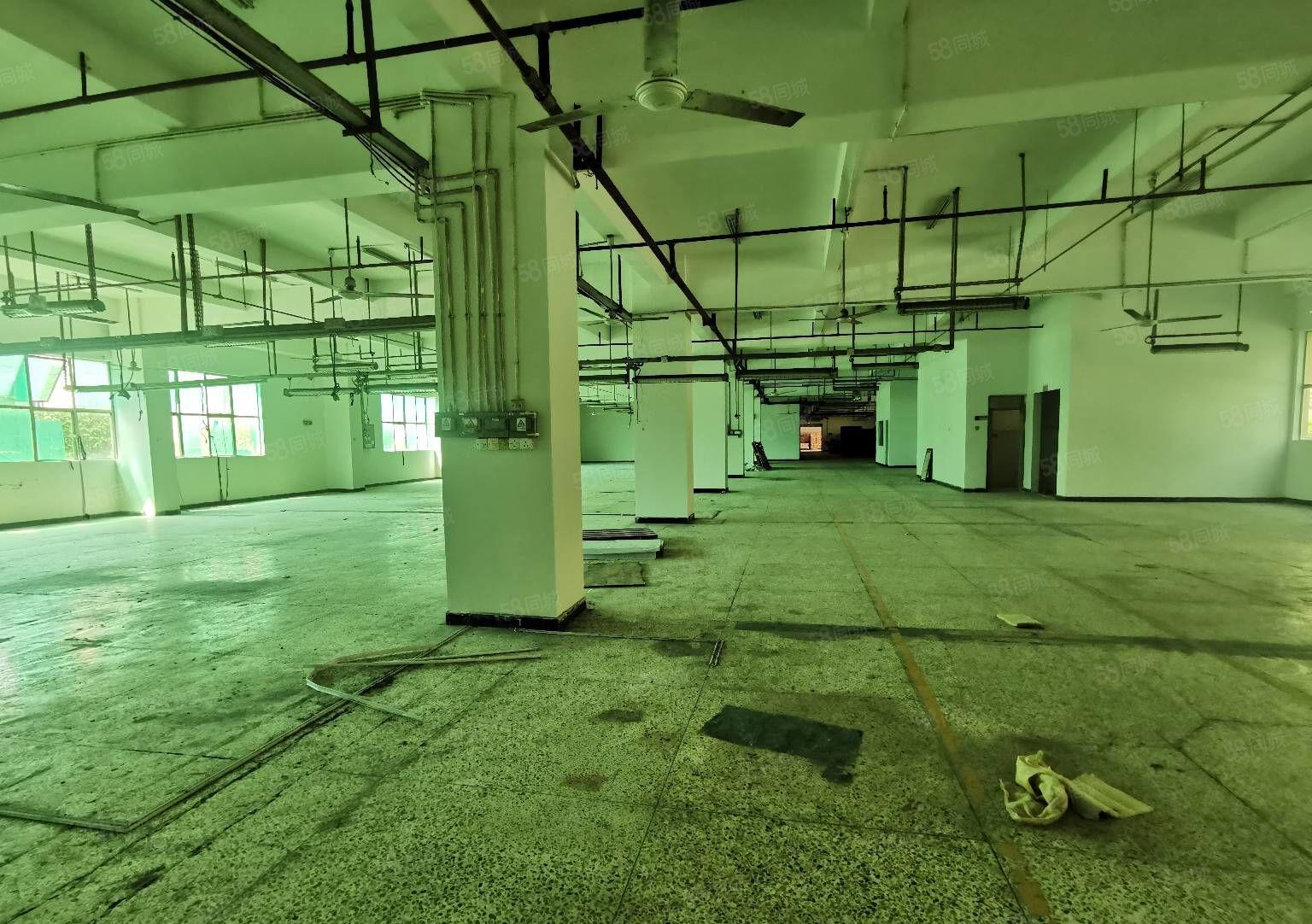 吉华街道原房东花园式厂房仓库出租一楼！楼上2000平可分租！