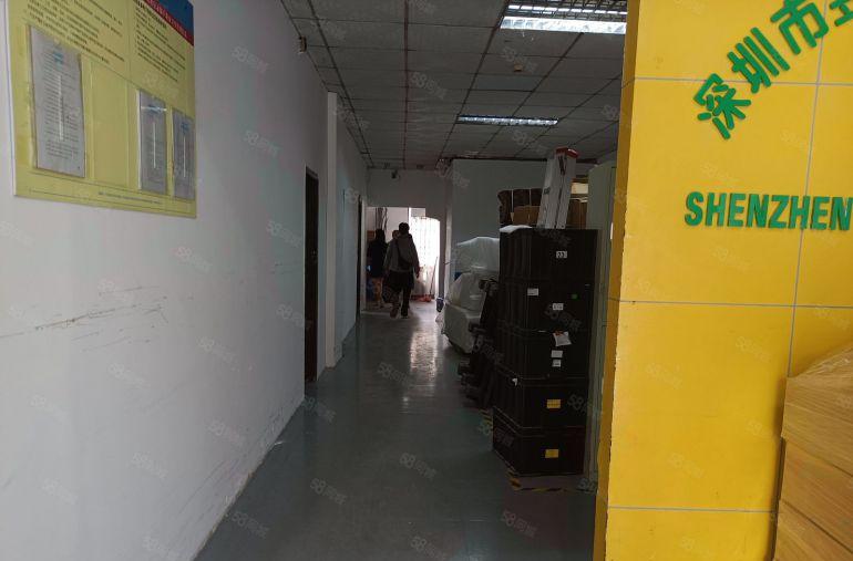 坂田独栋厂房原房东 红本 6000平 租22元 1百平起分