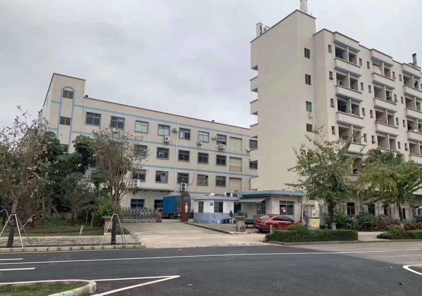 S龙岗坪地独院10000平方可分租