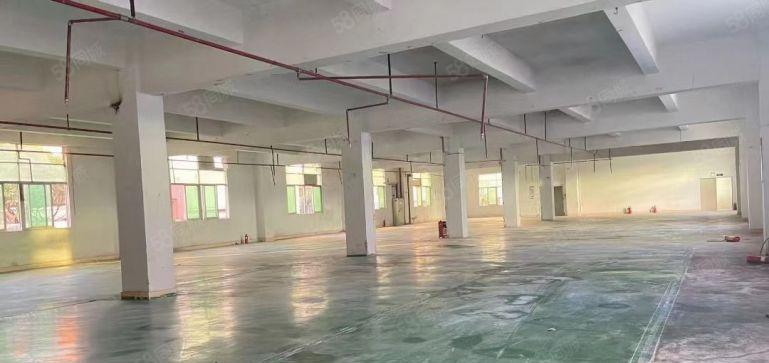 平湖海吉星附近独门独院3600平方厂房出租