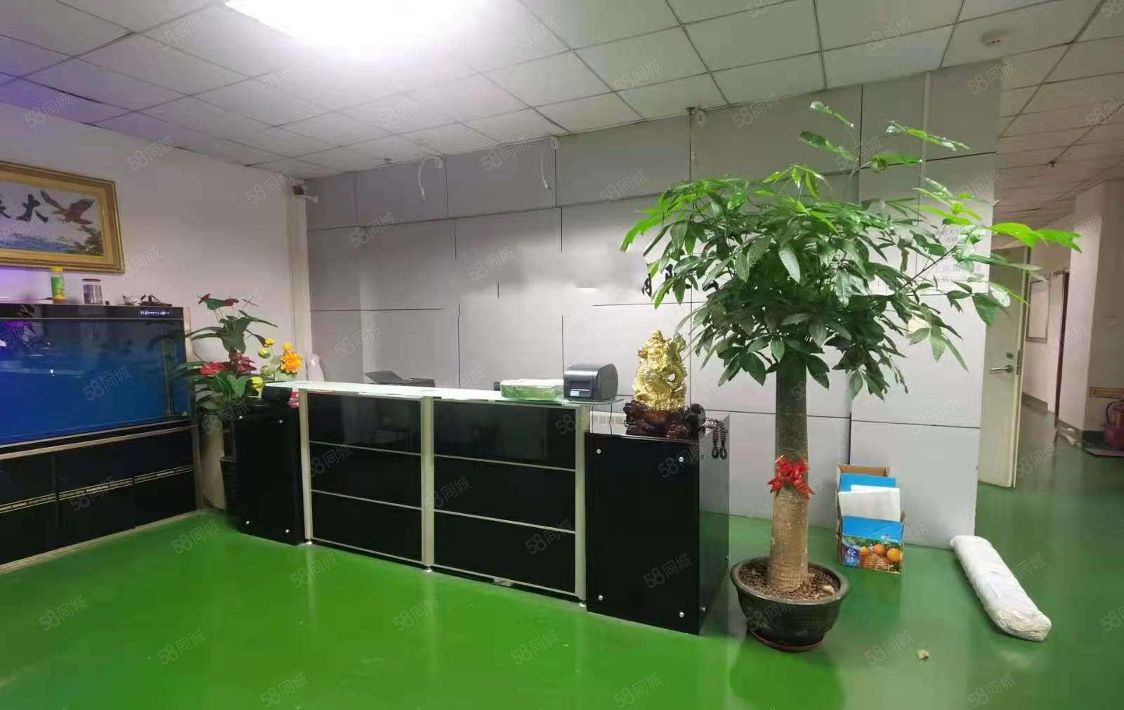 龙岗嶂背原房东独院标准厂房一楼带精装修办公室880平出租