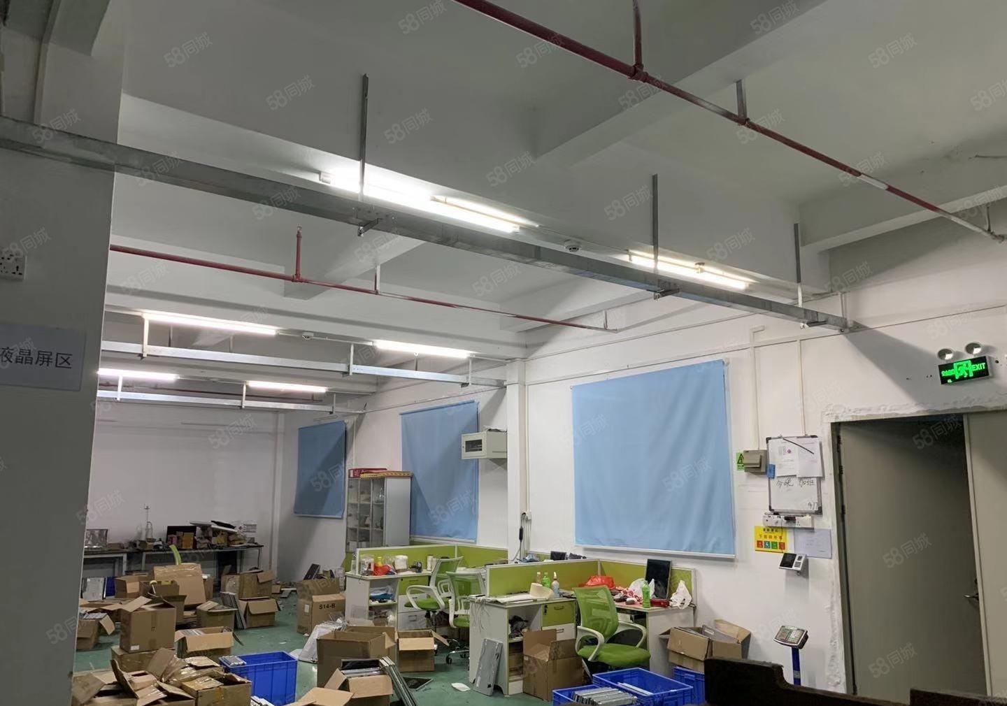 爱联嶂背楼上  带电梯 600平米出租