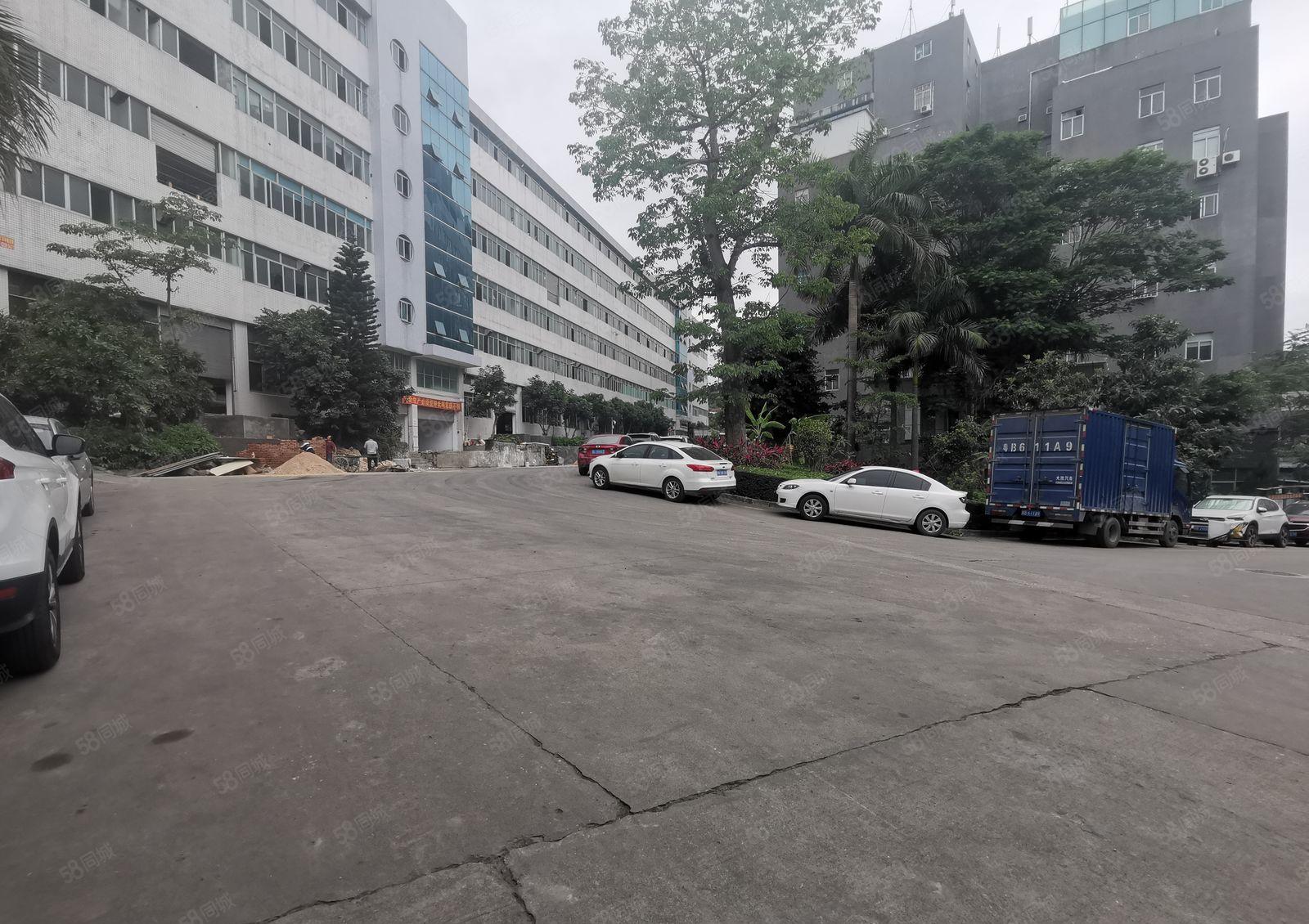 100平起租坂田上雪工业园带精装修电商办公室一楼仓库厂房出租