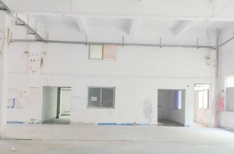 横岗厂房  业主低价出租 独立红本  大型停车场