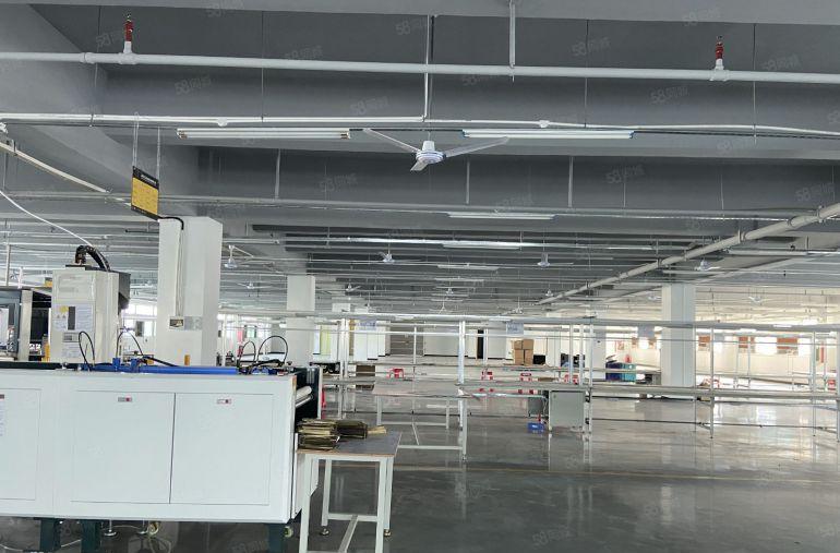 带红本村委厂房横岗主干道边新出1500平精装办公仓库厂房出租