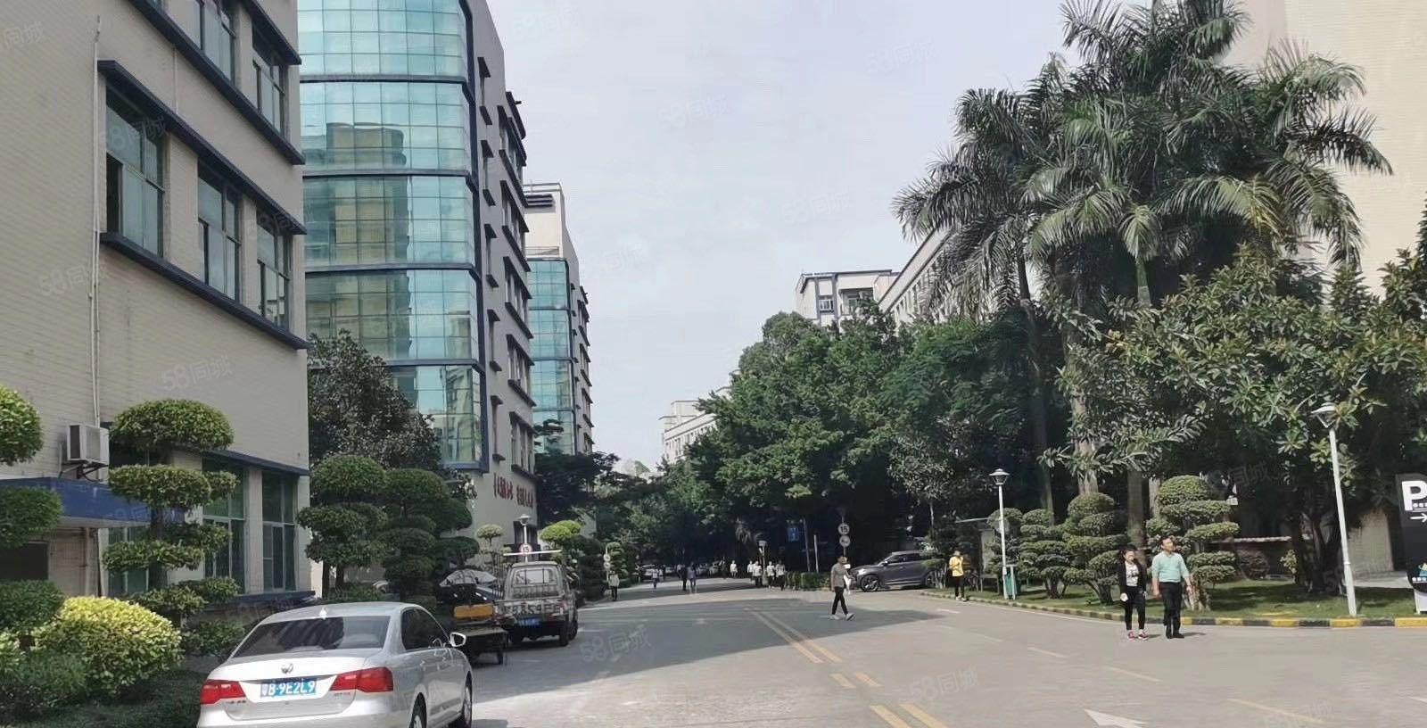 龙岗南联新空出2楼600平方带精装修前台和办公室厂房出租