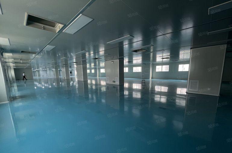 龙岗横岗365平地铁精装修无尘车间低价厂房仓库空土地一楼出租