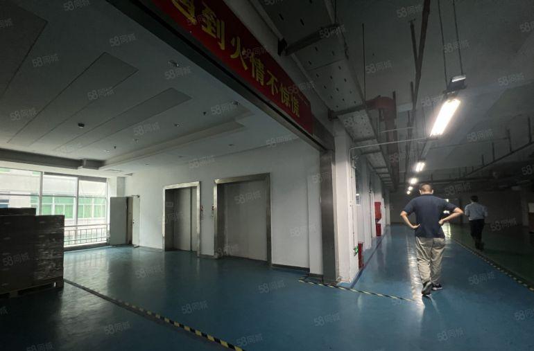 宝龙原房东实际面积厂房出租2500平方起分租含税管理费好招工