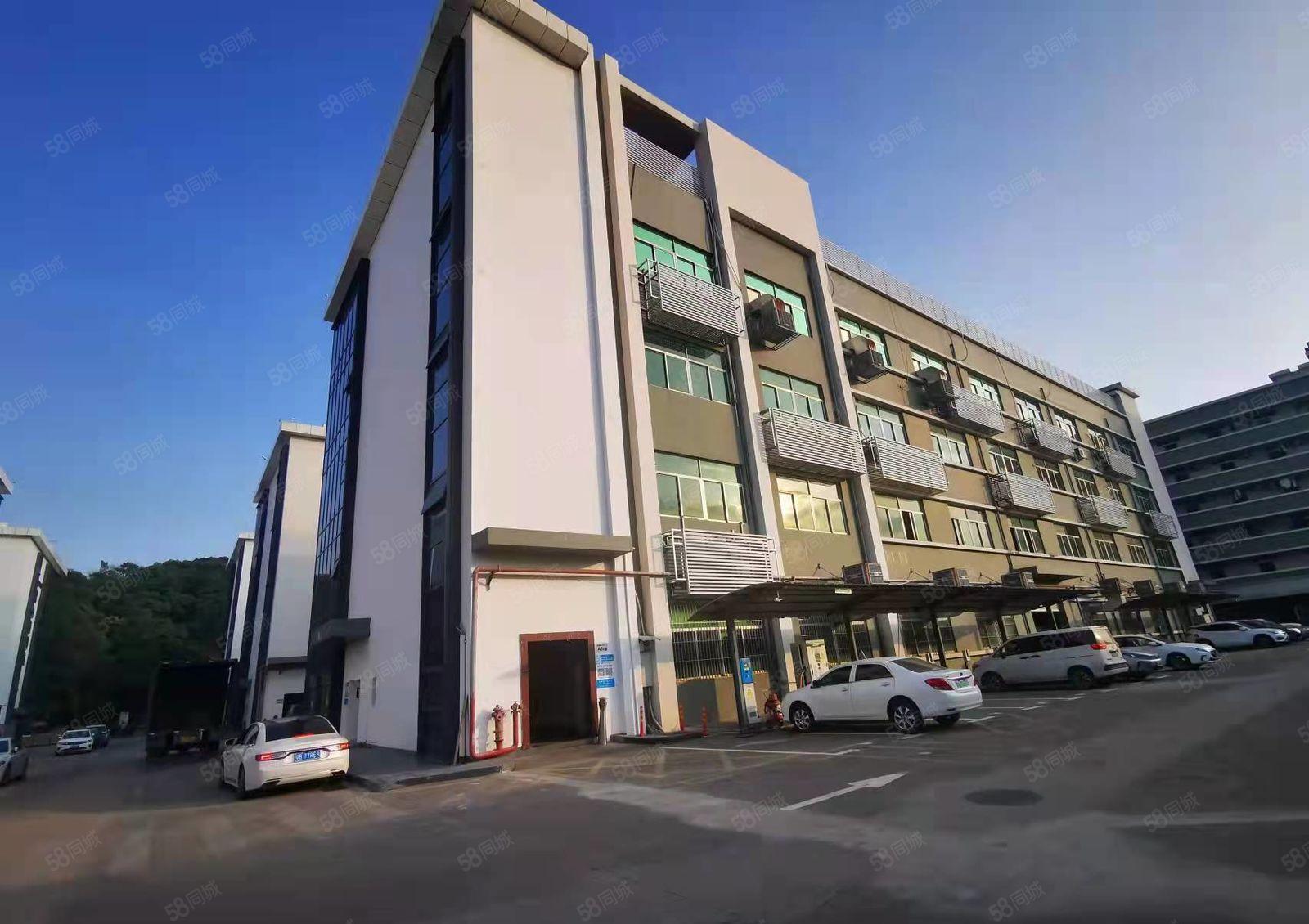 龙岗南联地铁站旁500平厂房出租带精装修可办公仓库水电齐全