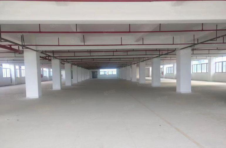 龙岗区同乐一楼300平方豪华装修小面积厂房出租