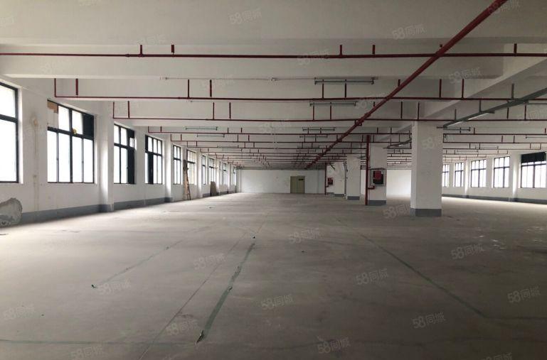 租！平湖鹅公岭新出独门独院7200平原房东红本厂房！