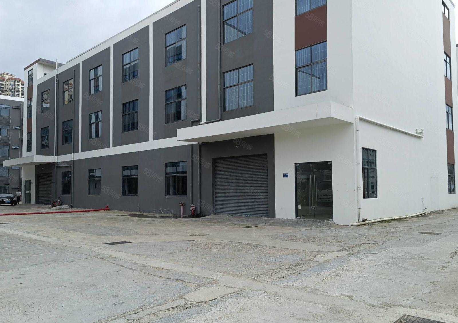 横岗新出1000平至5000平一二楼厂房仓库出租独院大小分租