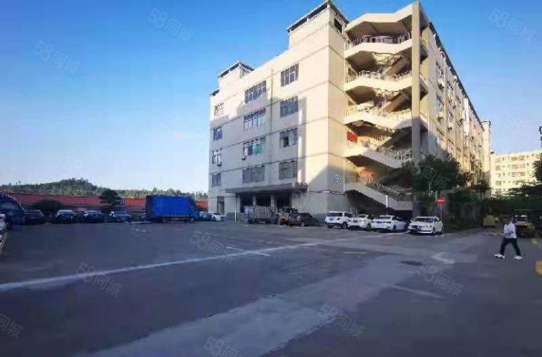 一房东，实际面积出租，整层2000平方，带卸货平台，主干道边