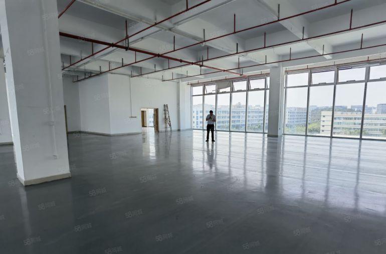 龙岗坂田地铁电商园厂房楼上1000平办公厂房仓库出租