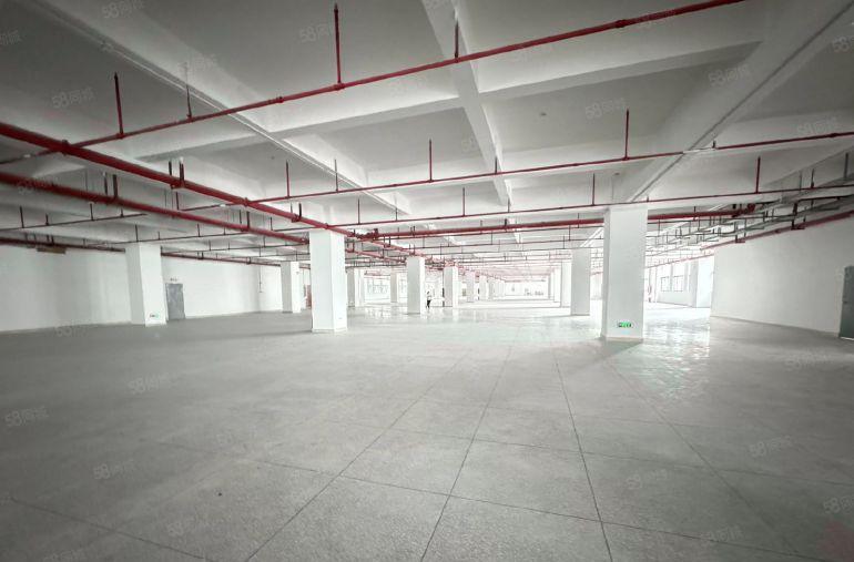 龙岗区坪地低碳城大型工业园区招租，500平起租，租金便宜