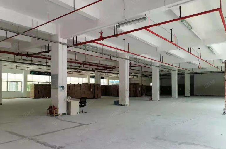 平湖华南城边上原房东全新独院出租