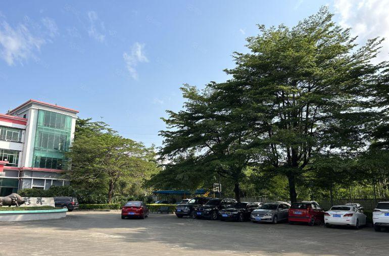 合同可签十年超大空地 龙岗同乐独院11000平方厂房仓库出租