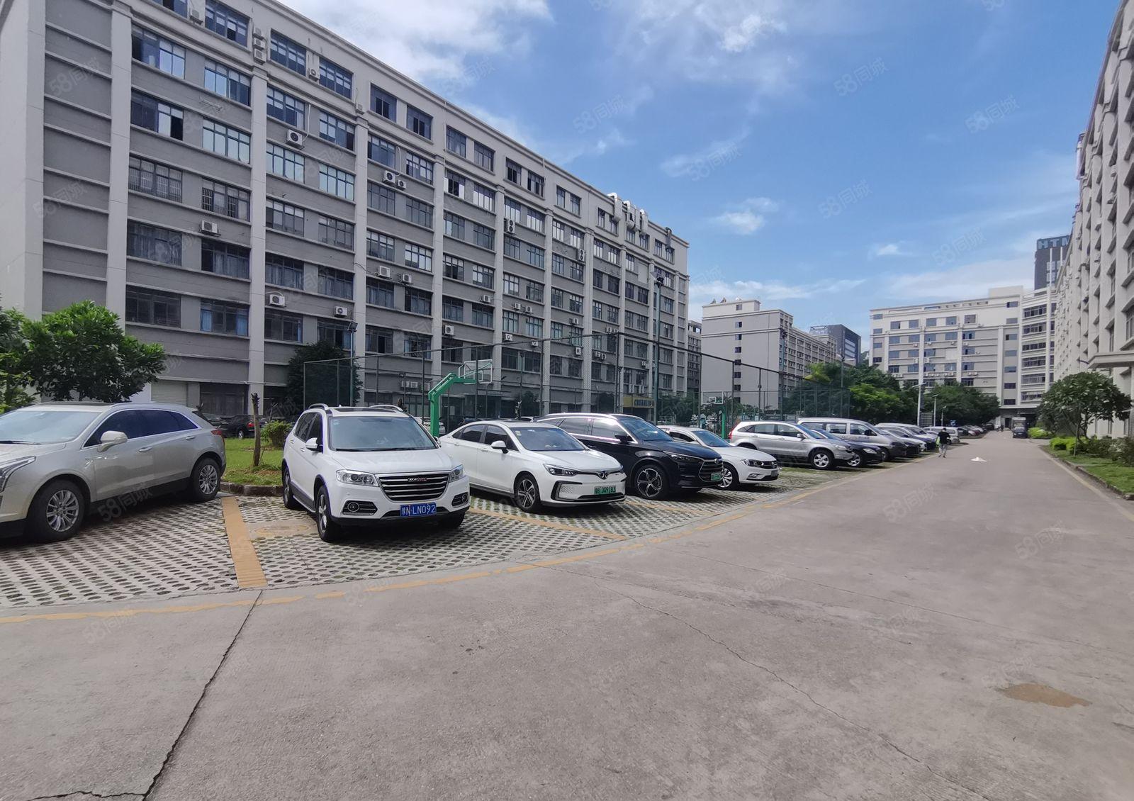 出租坂田杨美地铁口大型电商园楼上800平起电商仓库厂房招租