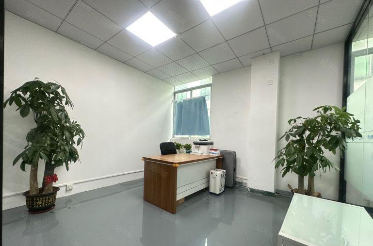 300平起，坂田岗头新出1000平办公加仓库，精装修水电齐全