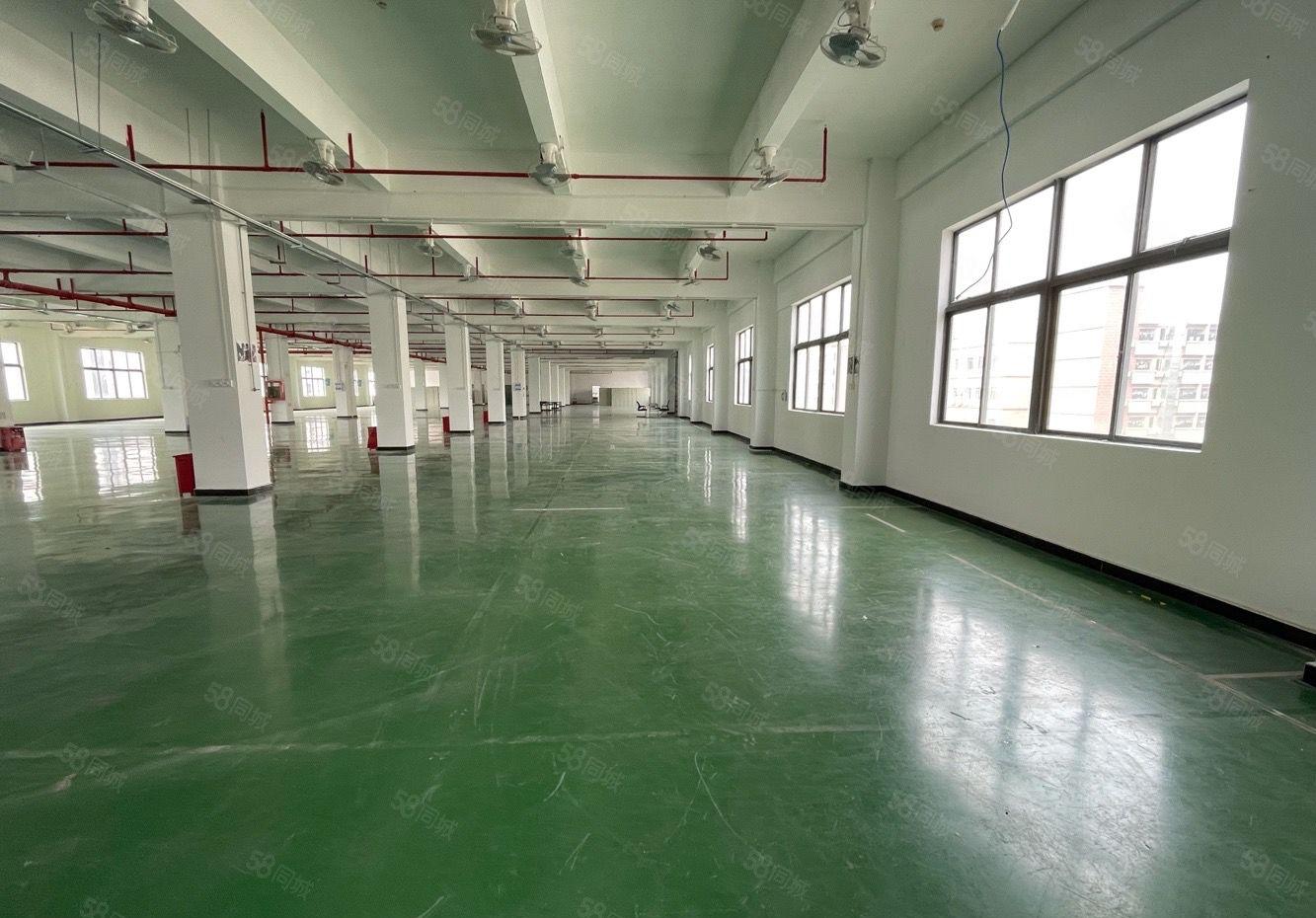 16元起龙岗新生工业园960平楼上一楼厂房仓库出租2吨货梯