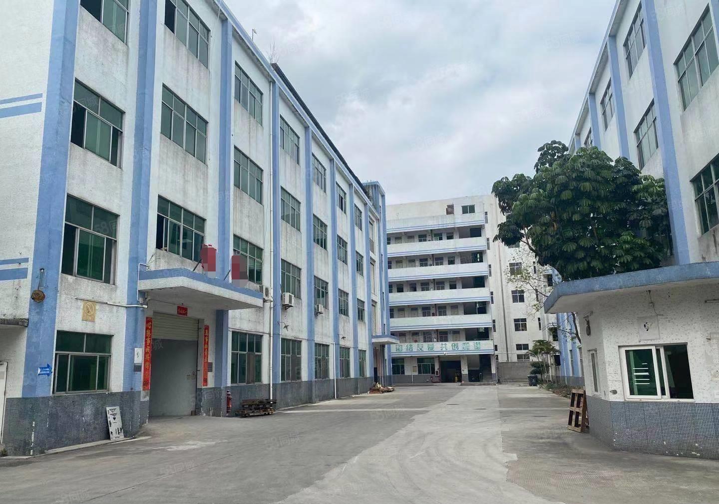 龙岗嶂背新空出2楼1500平方带精装修前台和办公室厂房出租