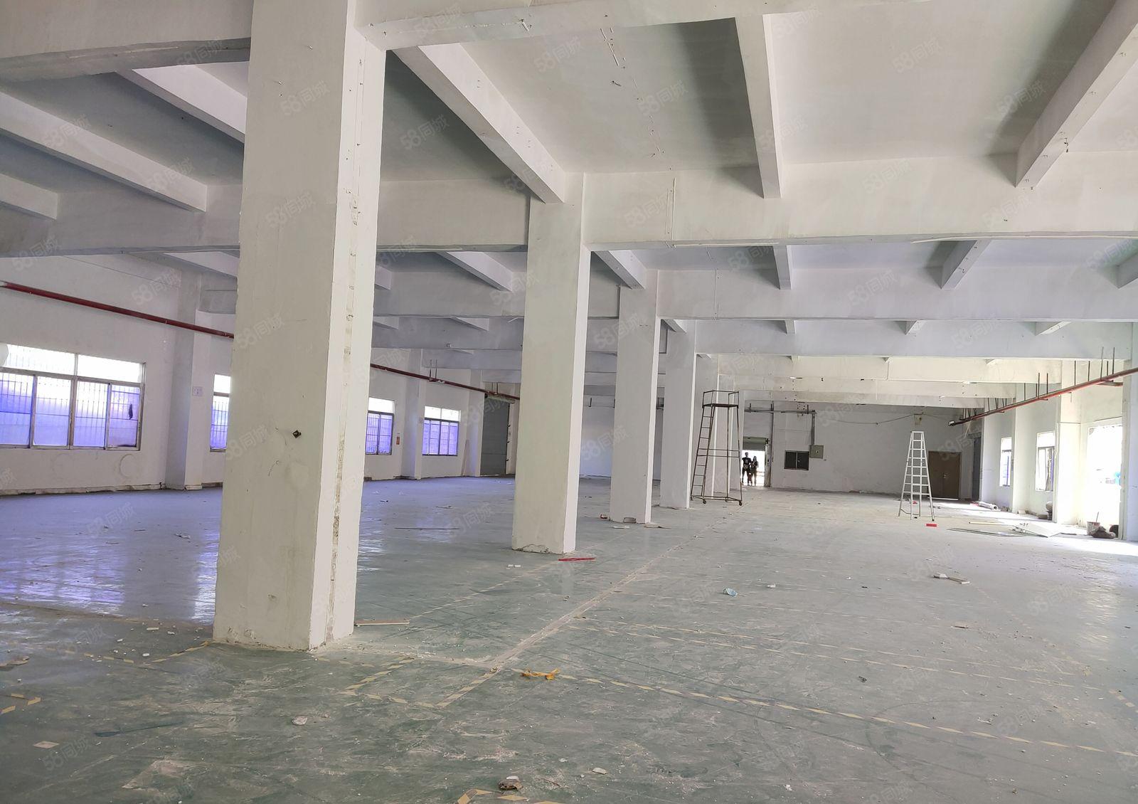 平湖新木工业区一楼2百5百8百1千平原房东仓库厂房出租可分租