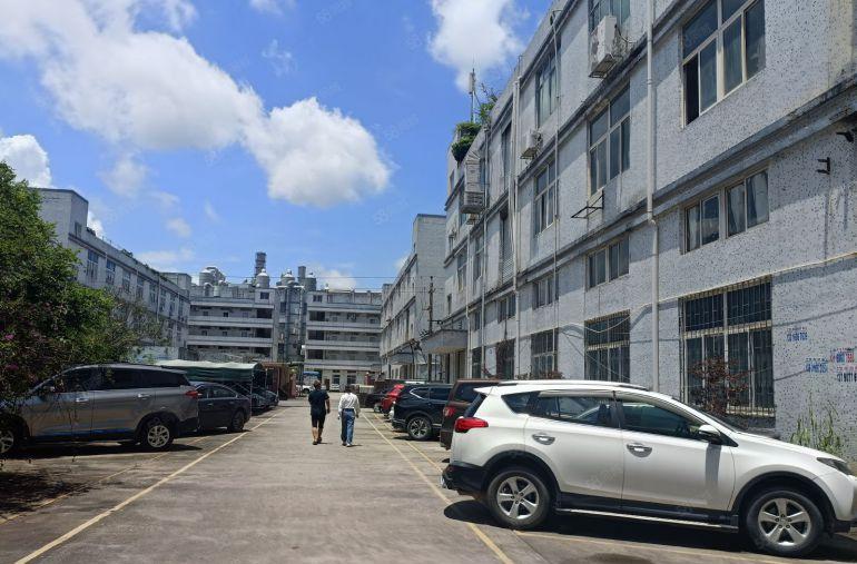 龙岗坪地原房东大工业园一楼1300平二楼1300带现成办公室