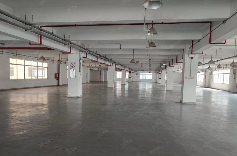 龙岗办公贸易电商厂房仓库加工及研发2000平出租