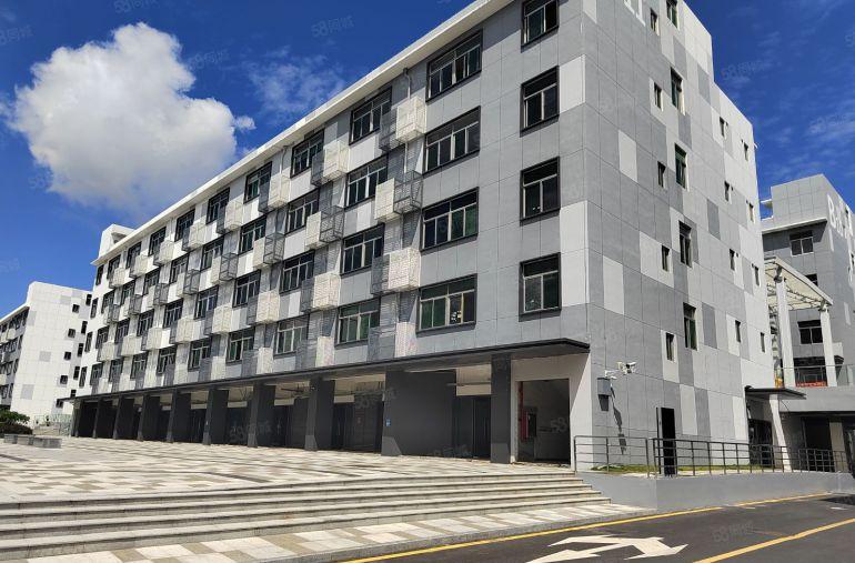 横岗安良原房东一楼1000平实际面积现成装修仓库厂房低价出租