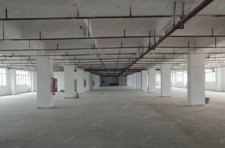 100平米起出租，龙岗区新生科技园区4万平米精装修厂房出租