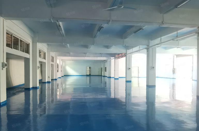 龙岗荷坳地铁口红本独院厂房仓库1200平出租带精装修易招工